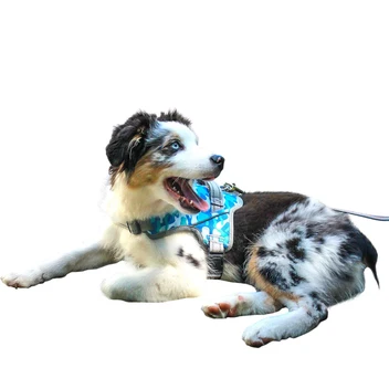 Comfy Control Dog Harness with Adjustable Straps